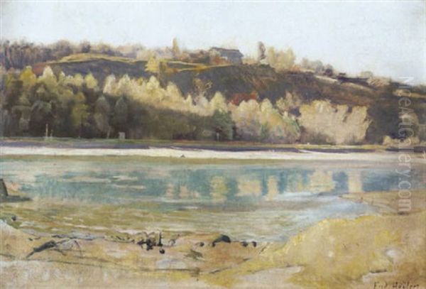 Arve Am Bois De La Batie - view 1