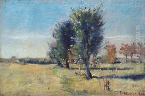 Landschaft Mit Weidenbaumen by Ferdinand Hodler