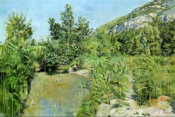 Sous Saleve - view 1