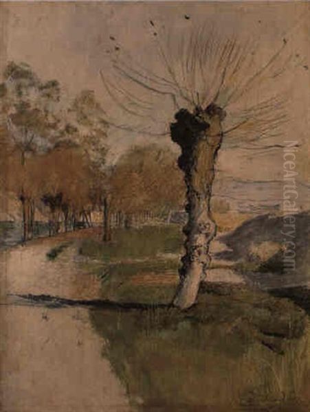 Weidenbaum An Der Jonction - view 1