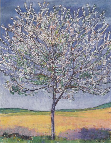 Bluhender Kirschbaum - view 1
