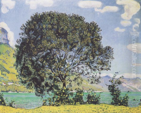 Baum Am Brienzersee Vom Bodeli Aus - view 1