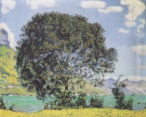 Baum Am Brienzersee Vom Bodeli Aus