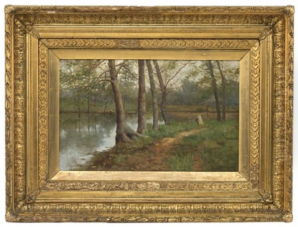 Forest Interior - view 1