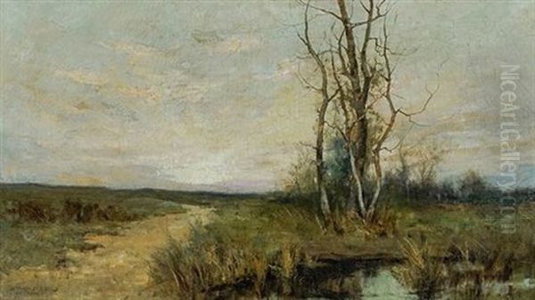 Path Beside A Pond At Sunset - view 1