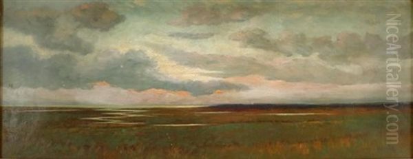 Cape Cod Marshes - view 1