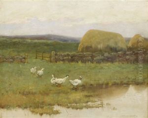 Through The Fields