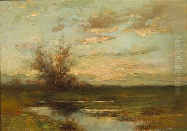 Tranquil Marshland - view 1