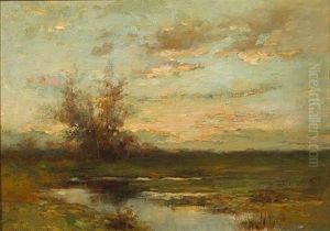 Tranquil Marshland