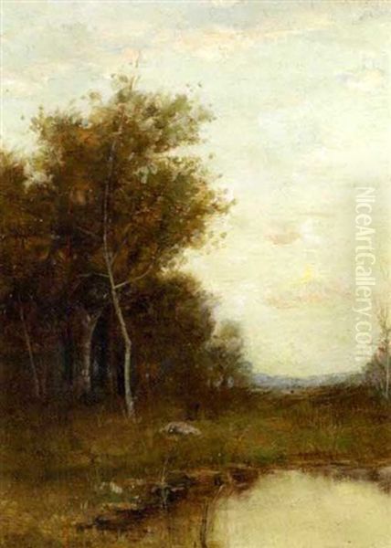 Landscape View Of Woods And A Pond - view 1