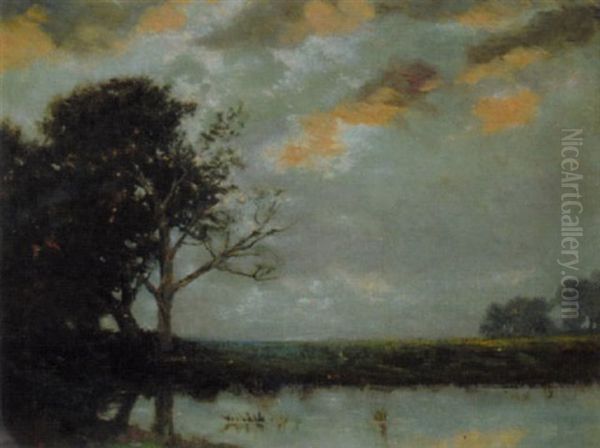 Fields At Sunset - view 1