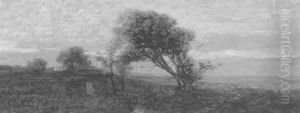 Connecticut Marsh