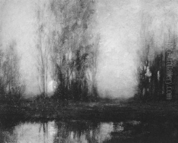Poplars Beside The Pond At Sunrise - view 1