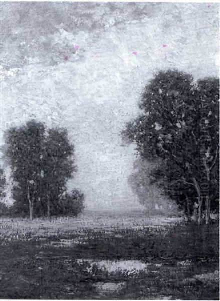 Fall Woods - view 1