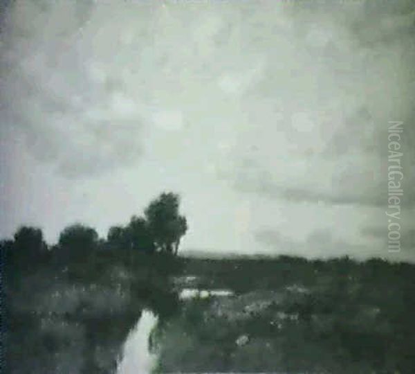 Twilight Over The Marshes - view 1