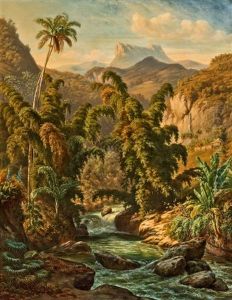 Cuban Landscape by Johann Adolf Hoeffler