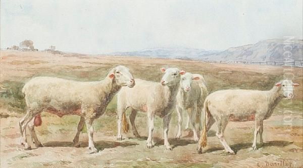 Sheep In A Moorland Landscape - view 1