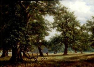 Waldparthie