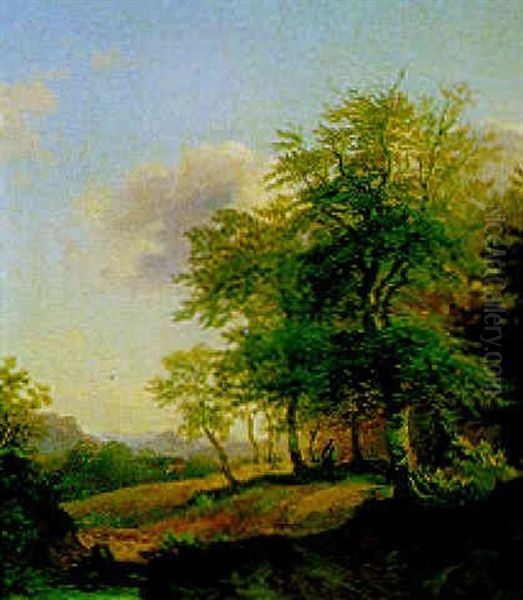 Spaziergang Durch Den Wald - view 1