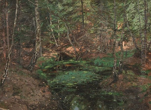 Waldbach - view 1