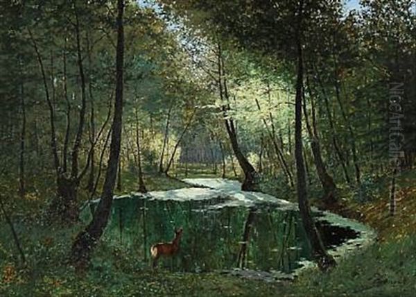 Deer Near A Lake In The Woods - view 1