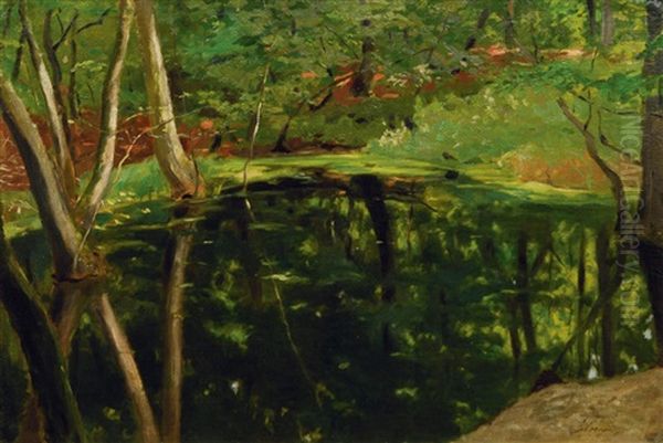 Lake In A Forest - view 1