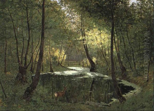 Rehgeiss Am Waldteich - view 1