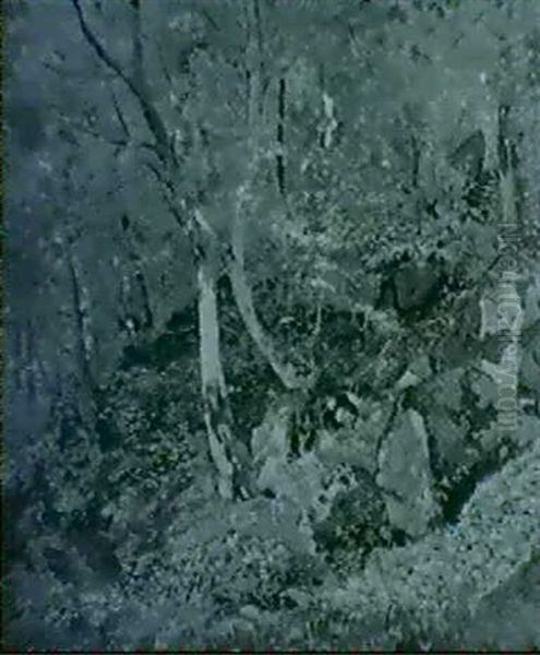 Waldstuck - view 1
