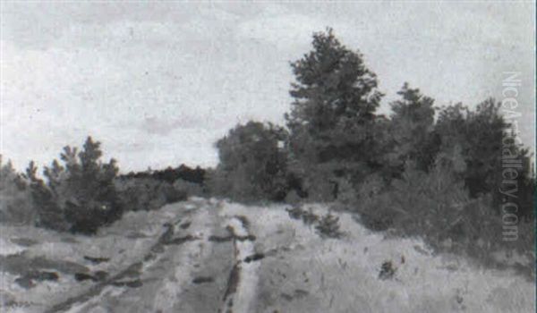 Weg Durch Den Jungwald - view 1