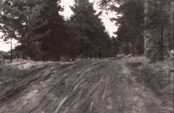 Postbote Auf Einem Waldweg - view 1
