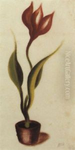Tulpe Tulpe
