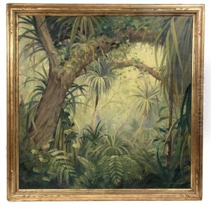 Spell Of The Jungle Spell Of The Jungle