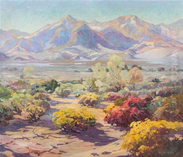Spell Of The Desert, Mojave Desert, California - view 1