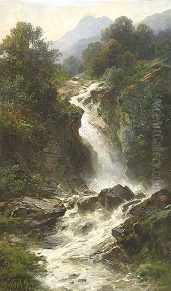 Wasserfall Im Gebirge. - view 1