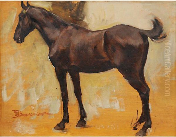 Il Cavallo - view 1
