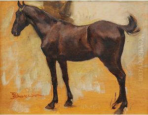 Il Cavallo by Giuseppe Barison