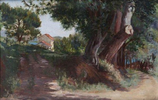 Paysage D'algerie - view 1