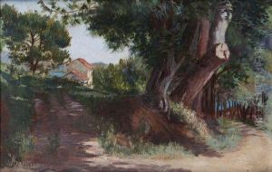 Paysage D'algerie Paysage D'algerie