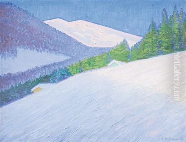 Zimni Krajina - view 1