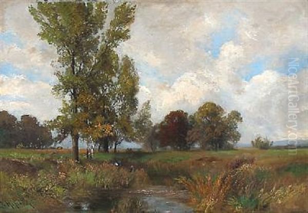 Landscape - view 1