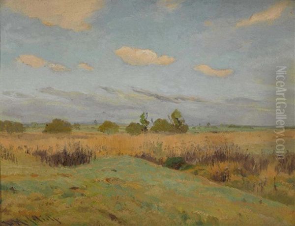 Sommerliche Landschaft - view 1