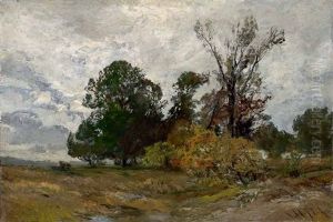 Spatsommerlandschaft