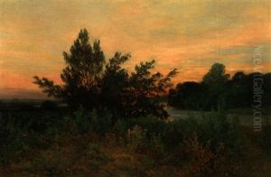 Abendliche Isarauen