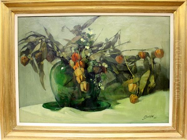 Lampionplant - view 1
