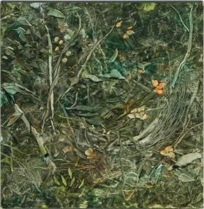 Nest by Sadie Hoffman