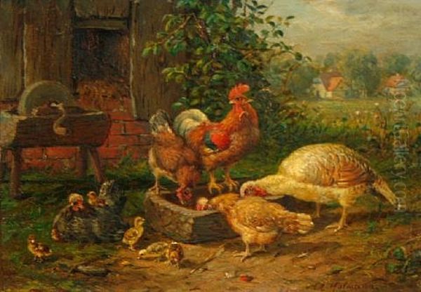 Chickens Feeding - view 1