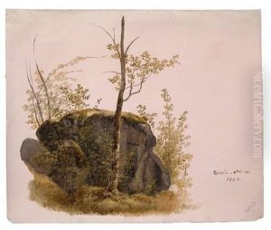 Baum Vor Felsen by Jakob Hoffmann