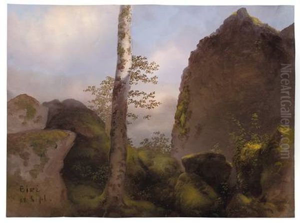Baum Zwischen Felsen - view 1