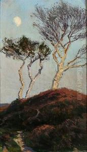 Heather Landscape With Birch Trees