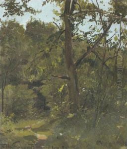 Sommerlicher Waldweg Sommerlicher Waldweg